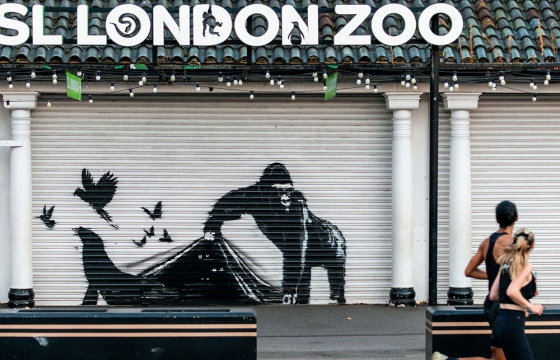 And on Day 9… Banksy’s Gorilla Has Let the Animals Out of the London Zoo