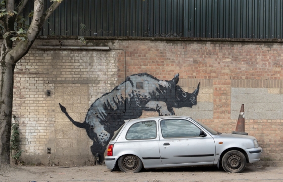 And on Day 8… Banksy Paints a Rhino